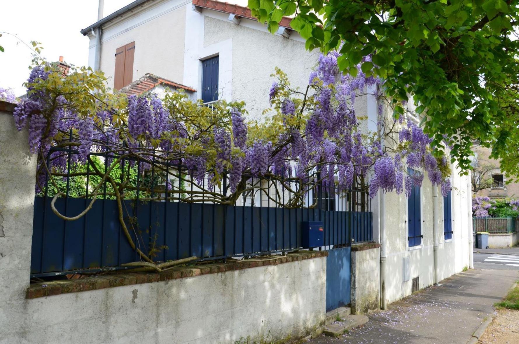Bleautiful "Eugenie" Charmante Maison De Ville ฟงแตนโบล ภายนอก รูปภาพ